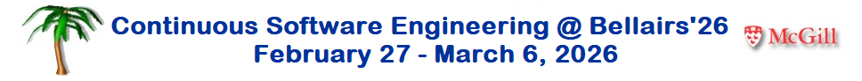 Continuous Software Engineering at Bellairs 2026